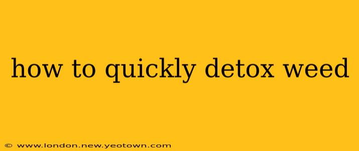 how to quickly detox weed