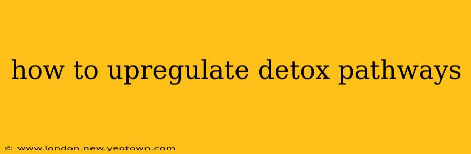 how to upregulate detox pathways