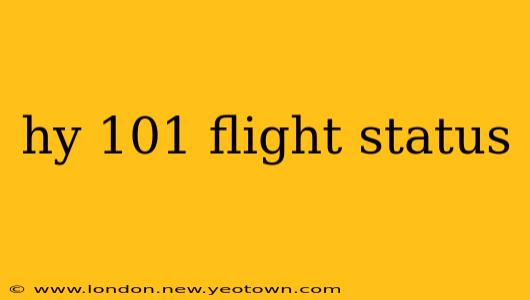 hy 101 flight status