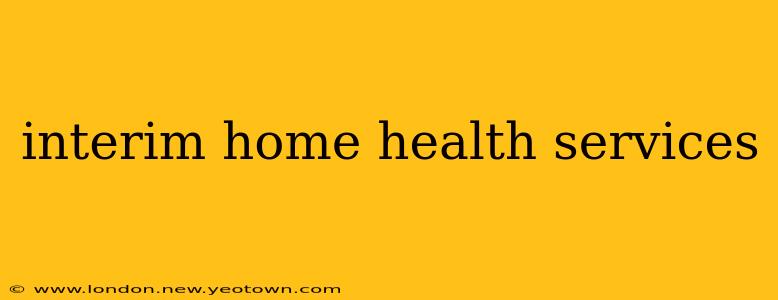 interim home health services