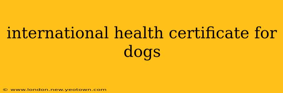 international health certificate for dogs