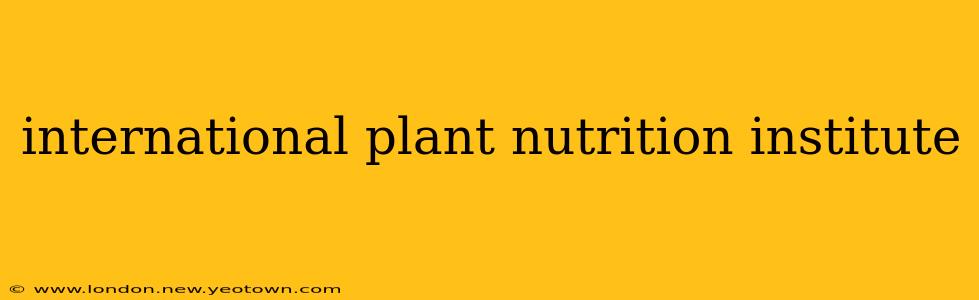 international plant nutrition institute