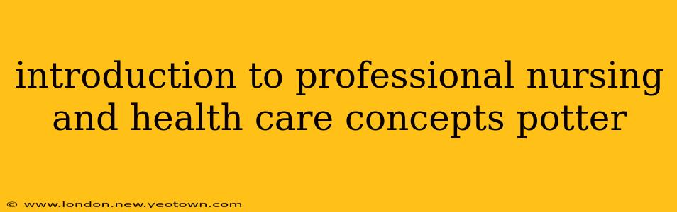 introduction to professional nursing and health care concepts potter