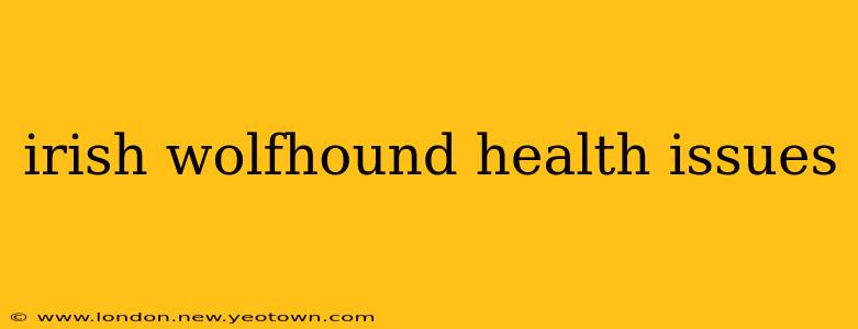 irish wolfhound health issues