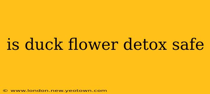 is duck flower detox safe