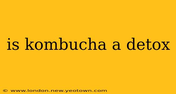 is kombucha a detox