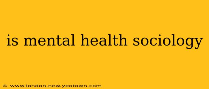 is mental health sociology