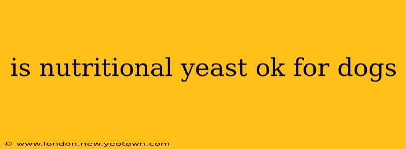 is nutritional yeast ok for dogs