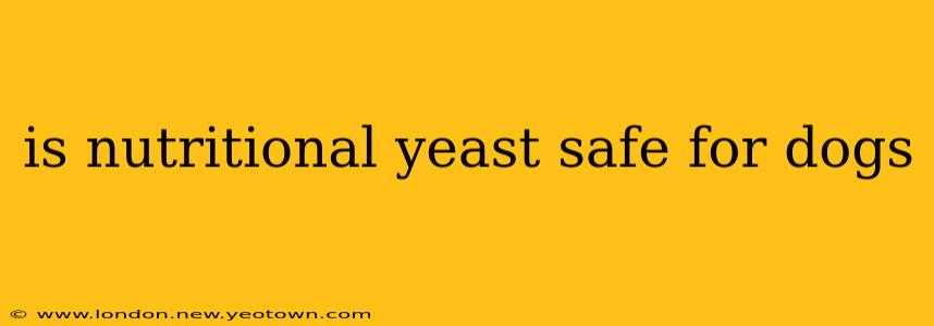 is nutritional yeast safe for dogs