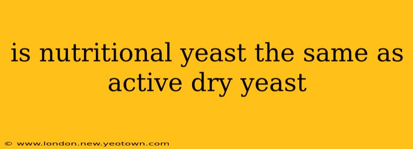 is nutritional yeast the same as active dry yeast