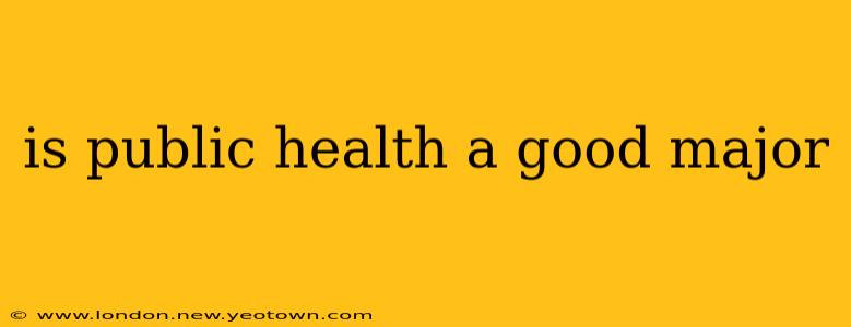 is public health a good major