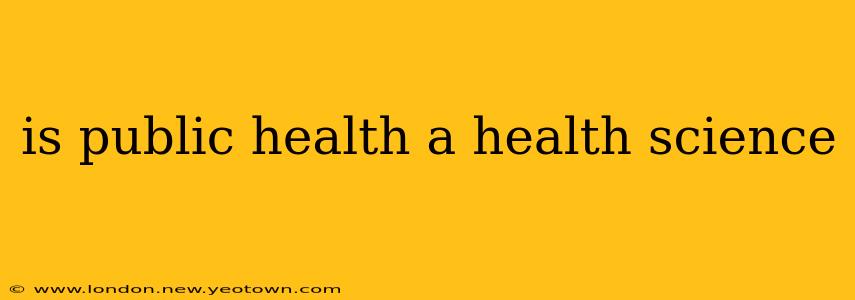 is public health a health science