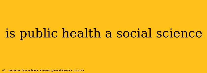 is public health a social science