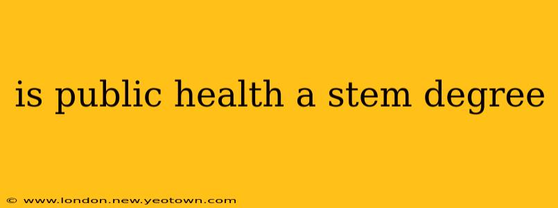 is public health a stem degree