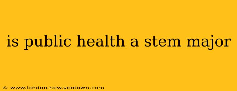is public health a stem major