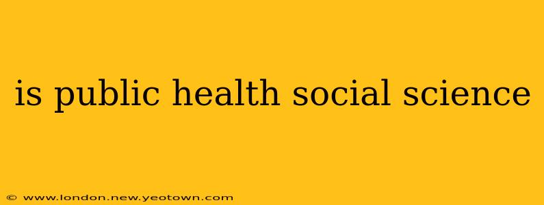 is public health social science