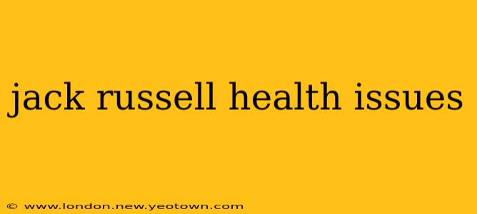 jack russell health issues