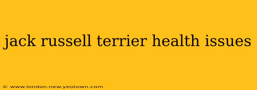 jack russell terrier health issues