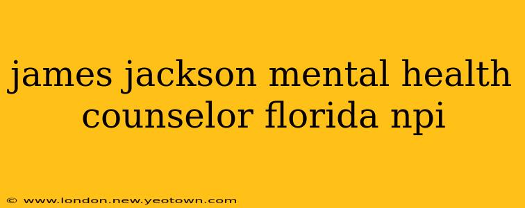 james jackson mental health counselor florida npi