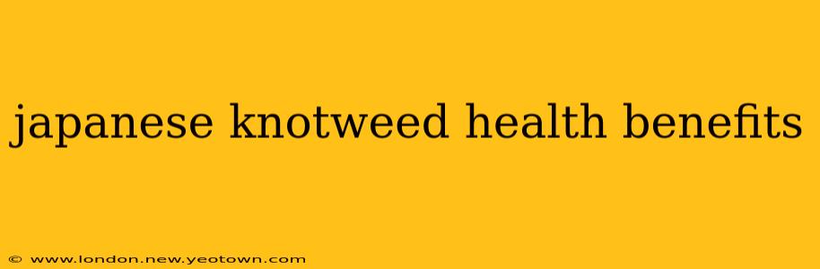 japanese knotweed health benefits