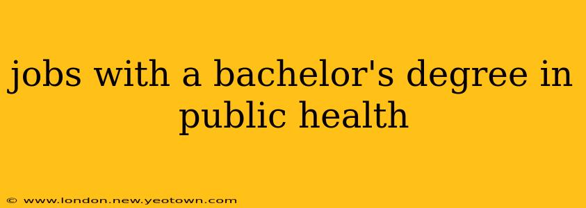 jobs with a bachelor's degree in public health