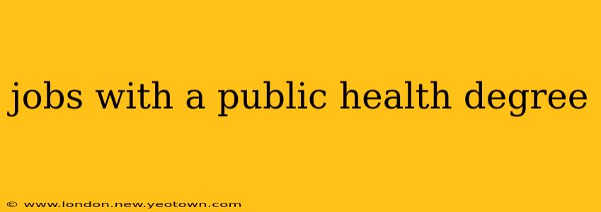 jobs with a public health degree