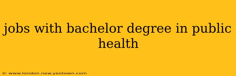 jobs with bachelor degree in public health