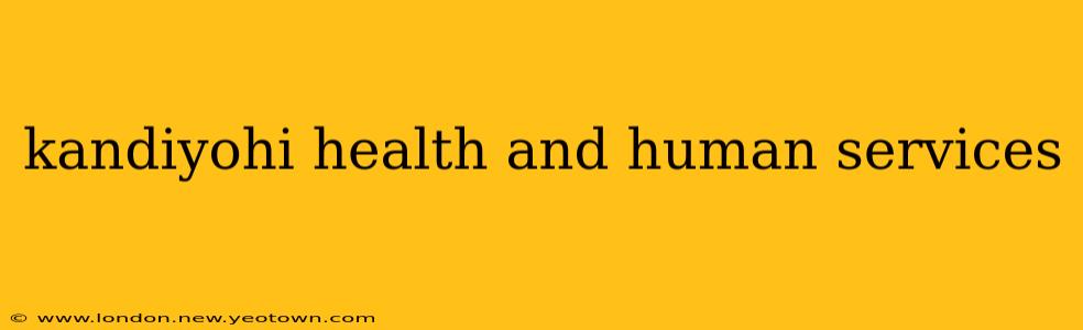 kandiyohi health and human services