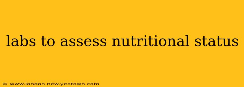 labs to assess nutritional status