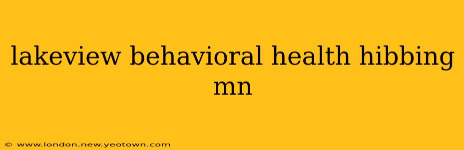 lakeview behavioral health hibbing mn