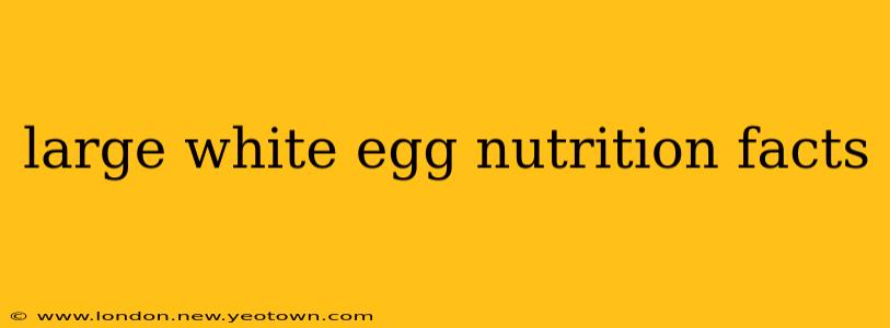 large white egg nutrition facts