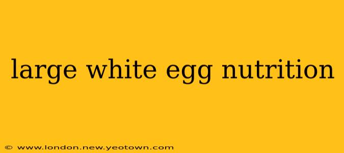 large white egg nutrition