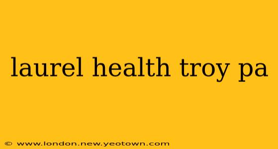 laurel health troy pa