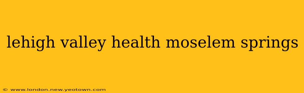 lehigh valley health moselem springs