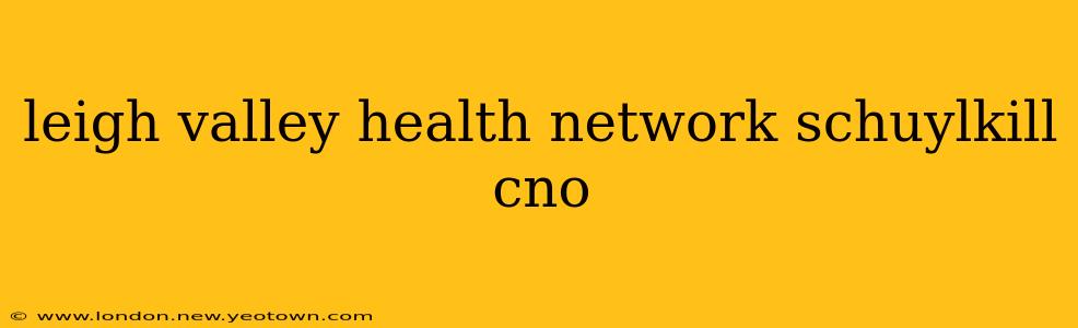 leigh valley health network schuylkill cno