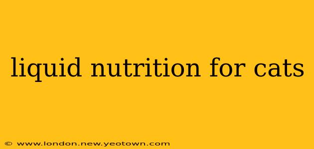 liquid nutrition for cats