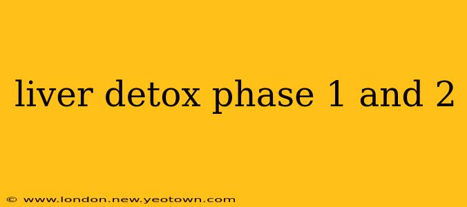 liver detox phase 1 and 2