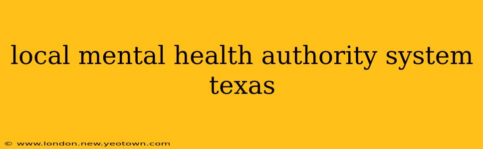 local mental health authority system texas