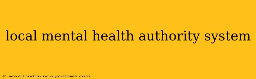 local mental health authority system