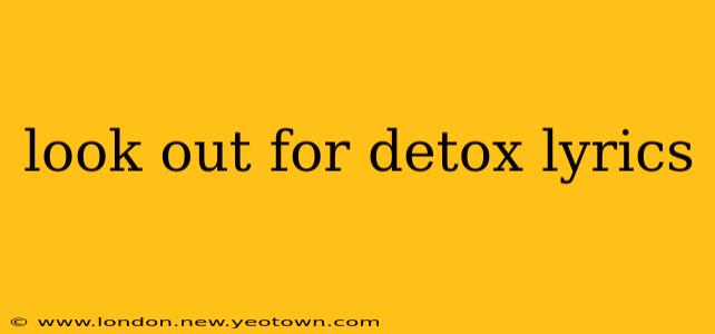 look out for detox lyrics