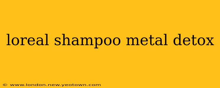 loreal shampoo metal detox