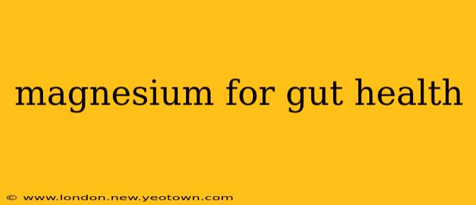 magnesium for gut health