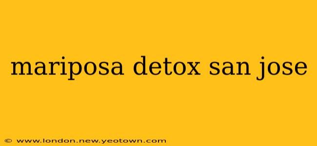 mariposa detox san jose