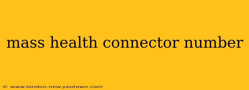 mass health connector number