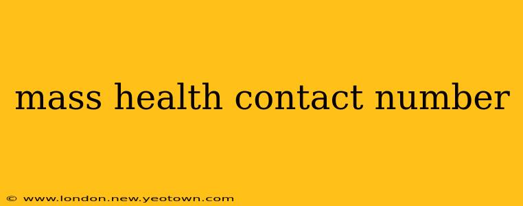 mass health contact number