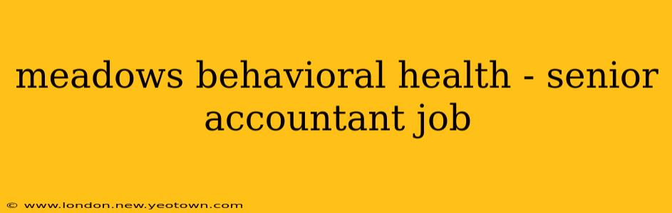 meadows behavioral health - senior accountant job