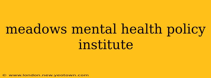 meadows mental health policy institute