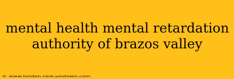 mental health mental retardation authority of brazos valley