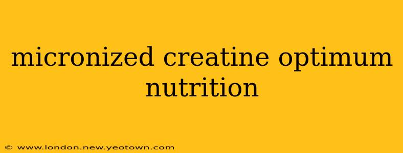 micronized creatine optimum nutrition