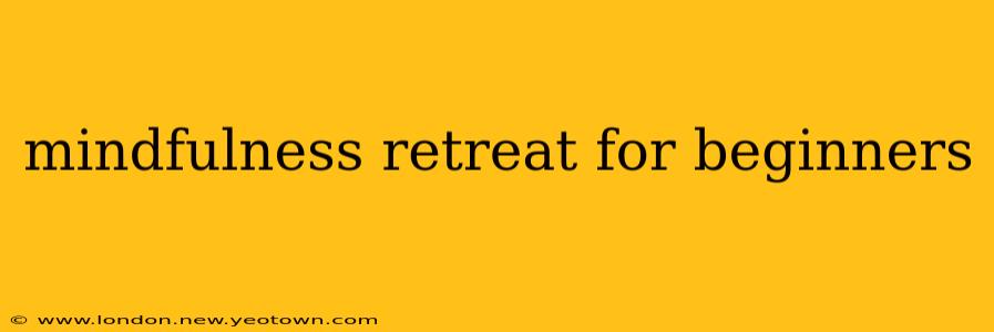 mindfulness retreat for beginners
